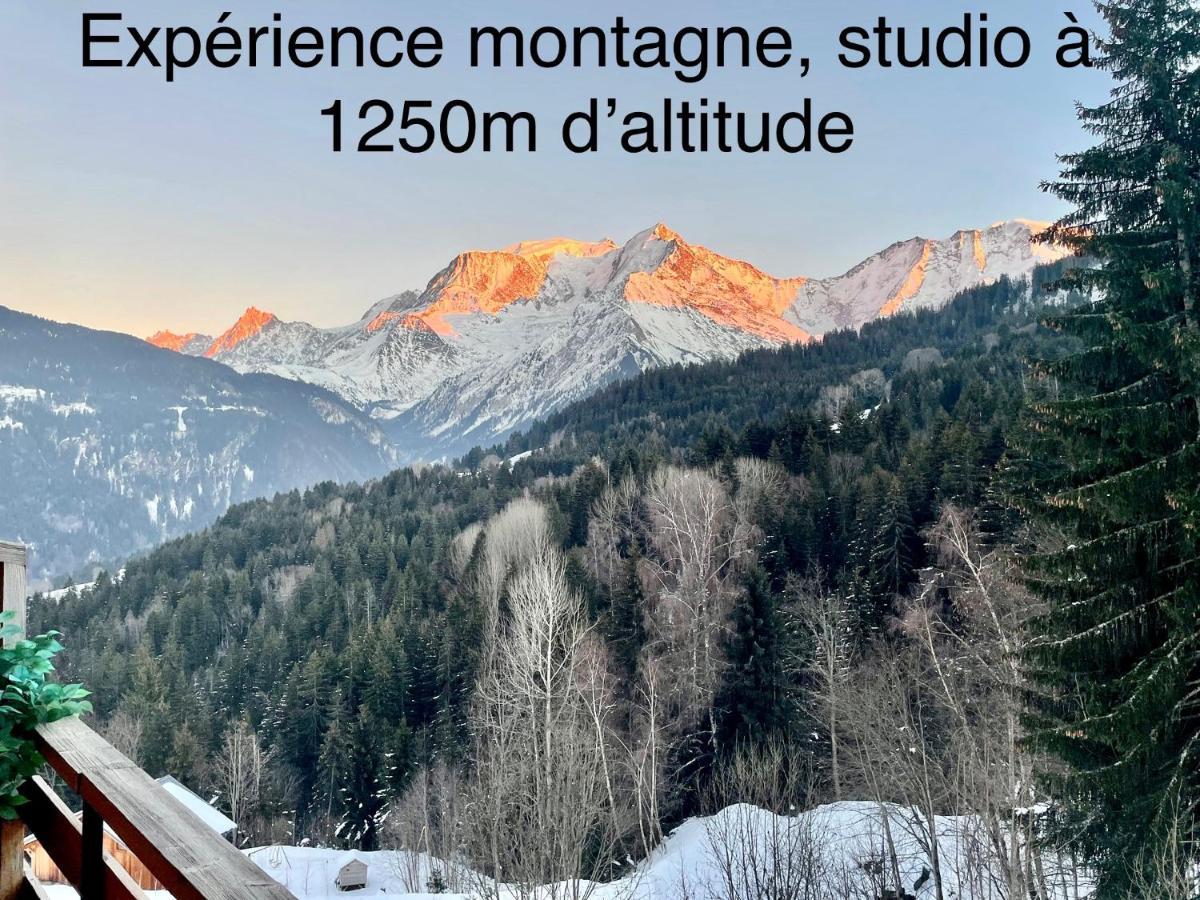 Studio Turquoise Quartier Grattague Vue Montblanc Saint-Gervais-les-Bains Zewnętrze zdjęcie